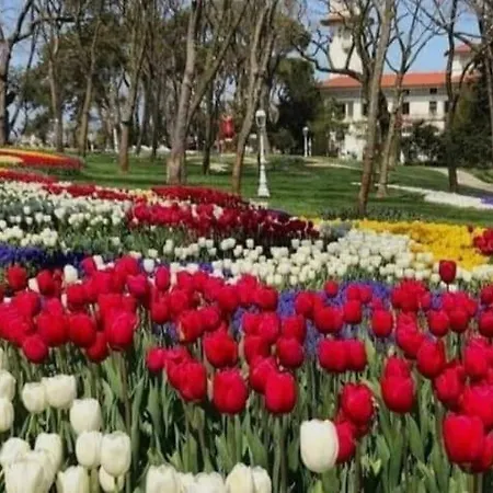 An Tale Dream Bosphorus * Istambul